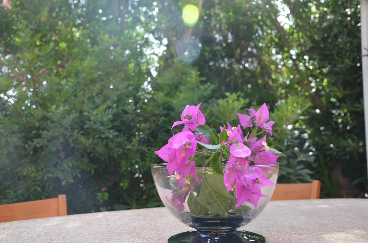 Fantastic Sardinia Villette Con Giardino Fronte Mare Fertilia Faho-Gav01-Gav02 0*,  İtalya