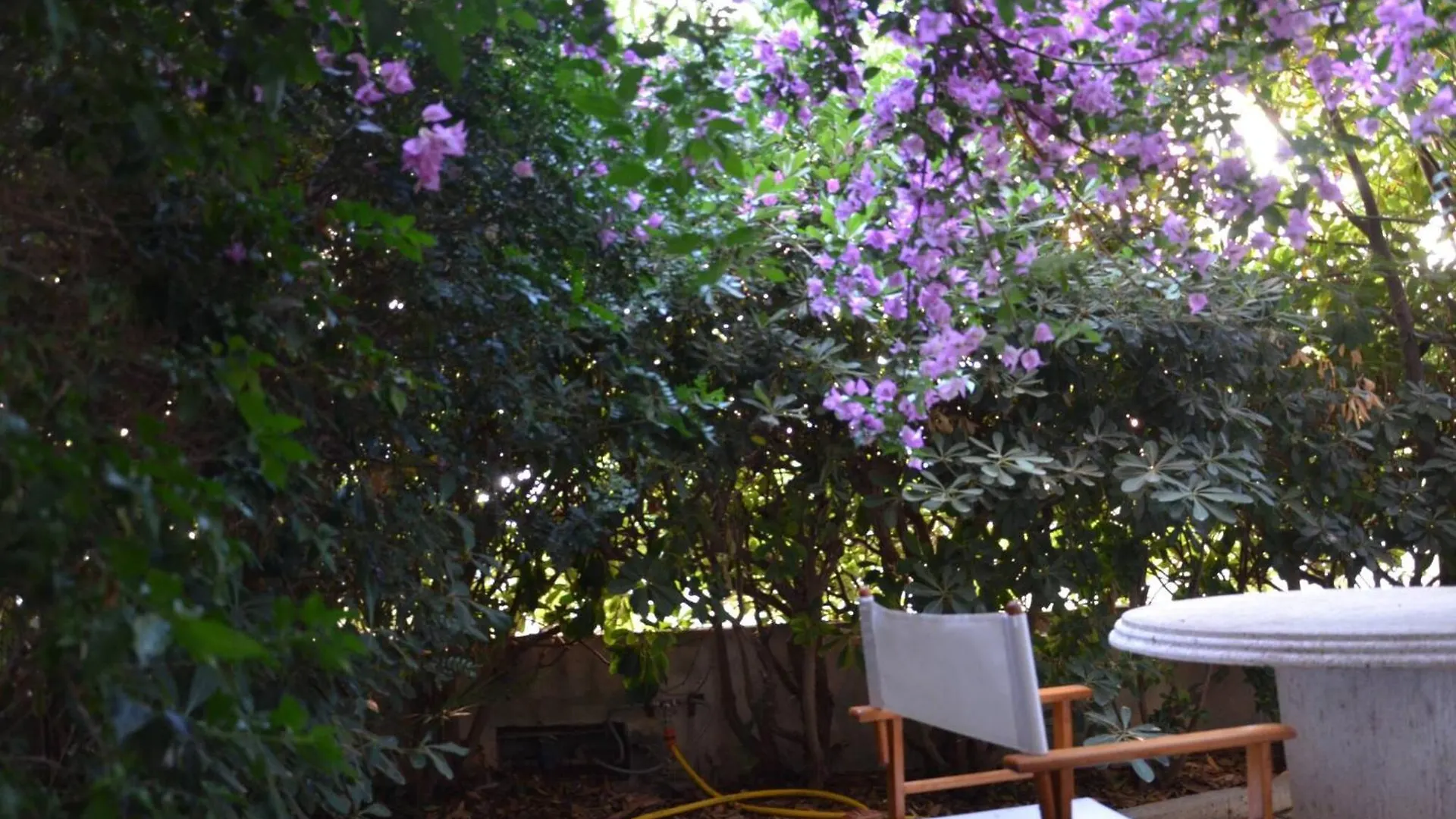 Fantastic Sardinia Villette Con Giardino Fronte Mare Fertilia Faho-Gav01-Gav02 Chalet