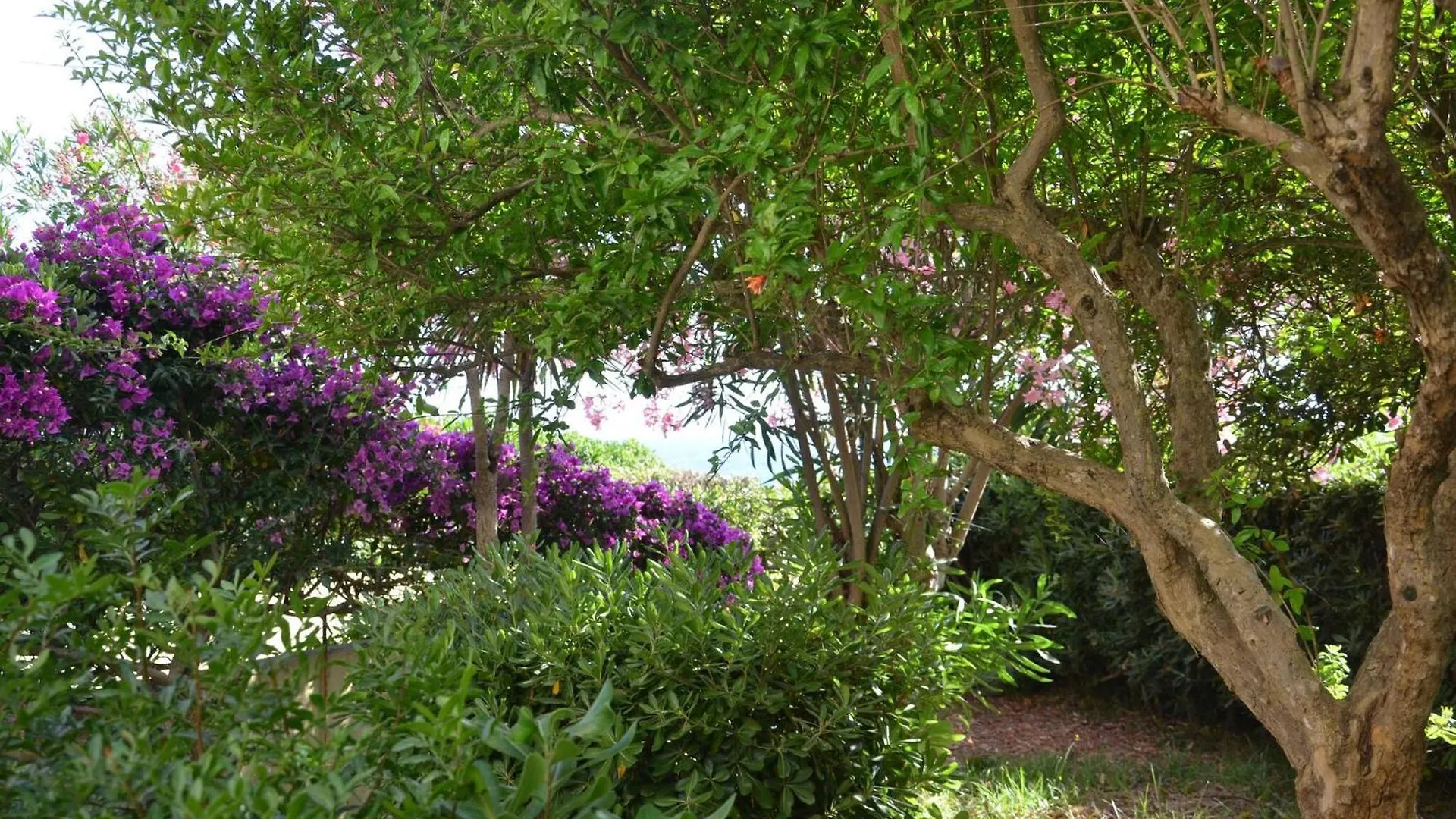 Fantastic Sardinia Villette Con Giardino Fronte Mare Fertilia Faho-Gav01-Gav02 İtalya