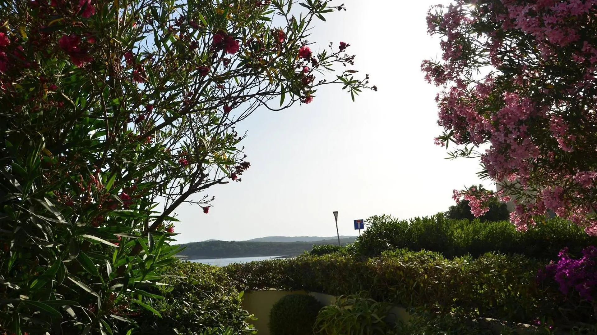 Fantastic Sardinia Villette Con Giardino Fronte Mare Fertilia Faho-Gav01-Gav02
