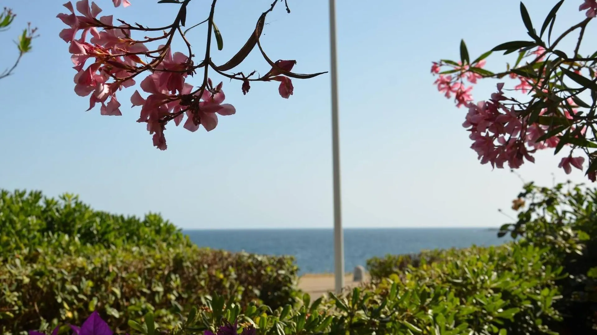 Fantastic Sardinia Villette Con Giardino Fronte Mare Fertilia Faho-Gav01-Gav02 0*,