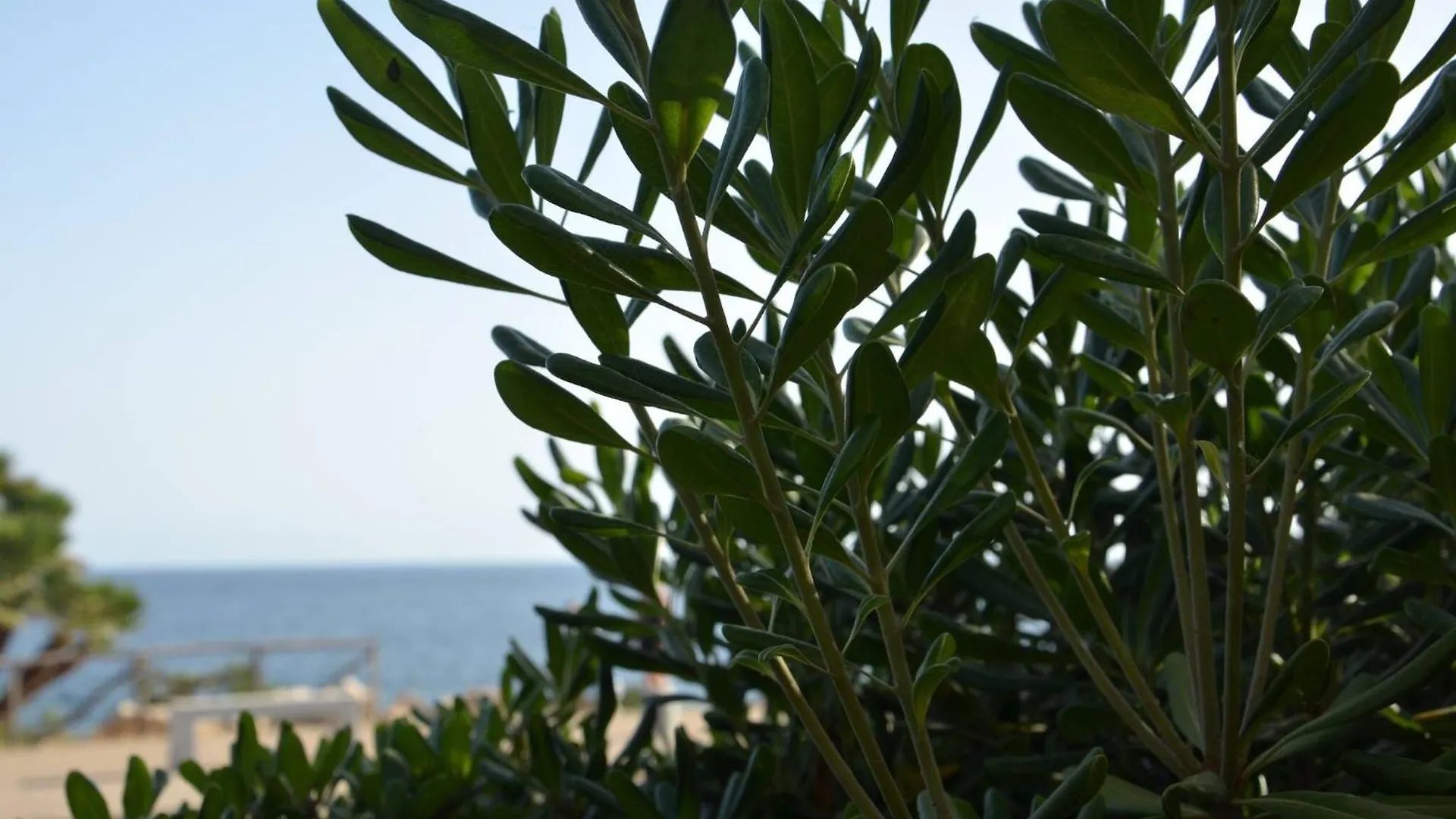 Chalet Fantastic Sardinia Villette Con Giardino Fronte Mare Fertilia Faho-Gav01-Gav02 Italy