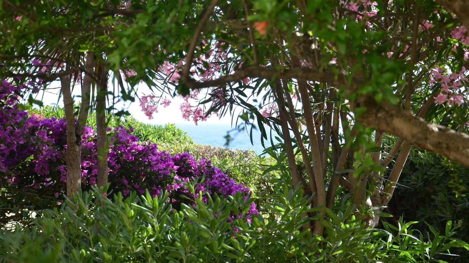 Chalet Fantastic Sardinia Villette Con Giardino Fronte Mare Fertilia Faho-Gav01-Gav02 Italy