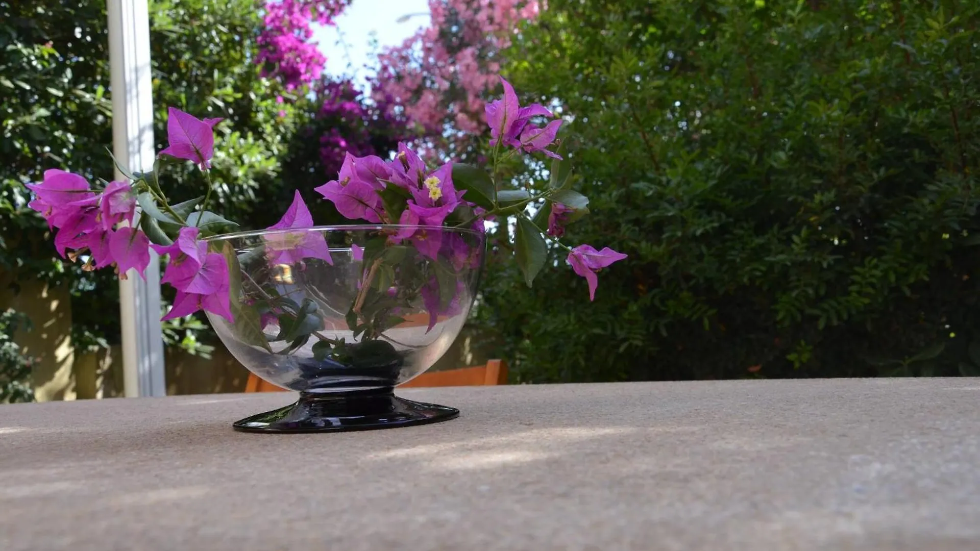 Fantastic Sardinia Villette Con Giardino Fronte Mare Fertilia Faho-Gav01-Gav02 0*,  Italy
