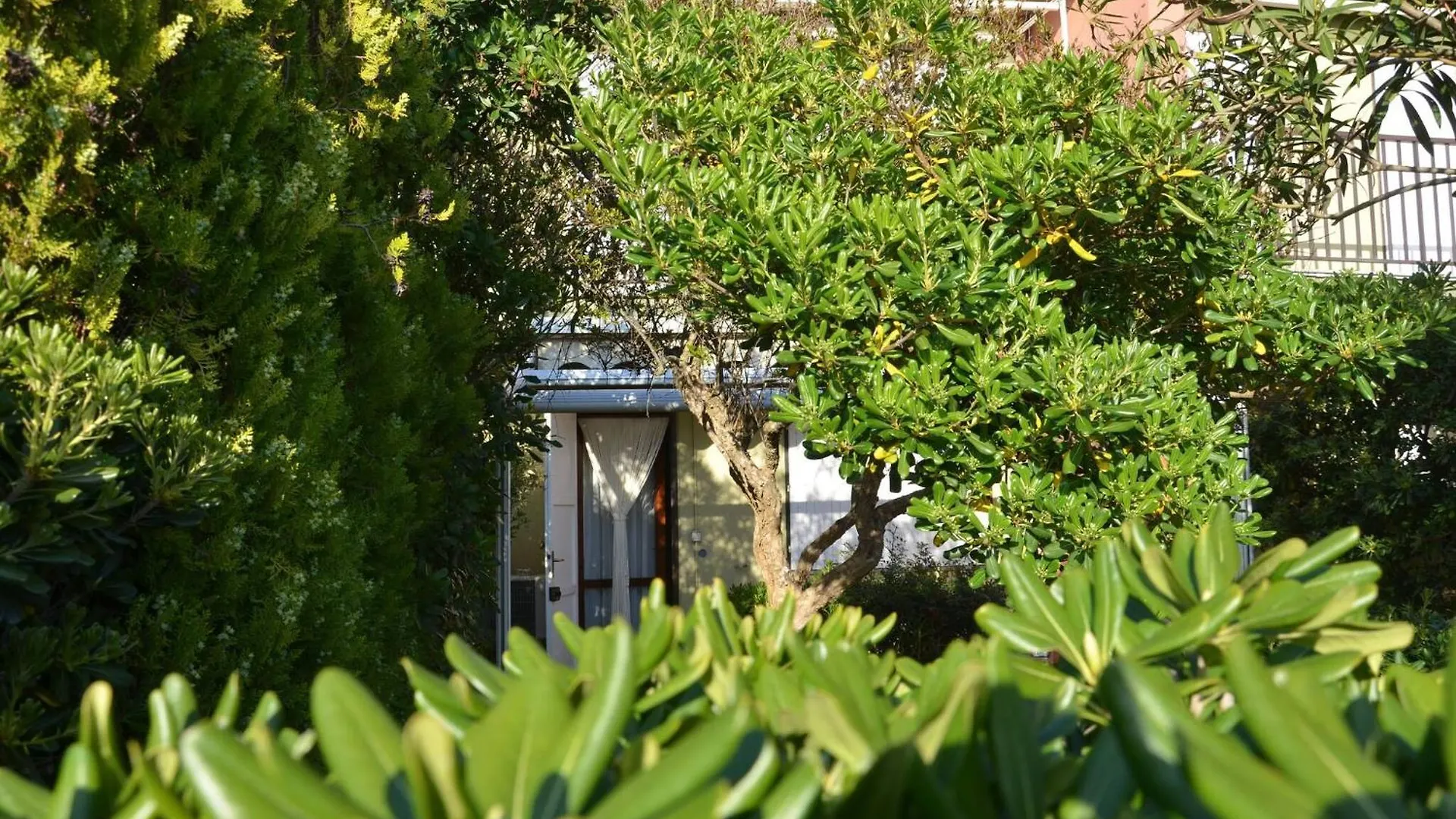 Chalet Fantastic Sardinia Villette Con Giardino Fronte Mare Fertilia Faho-Gav01-Gav02