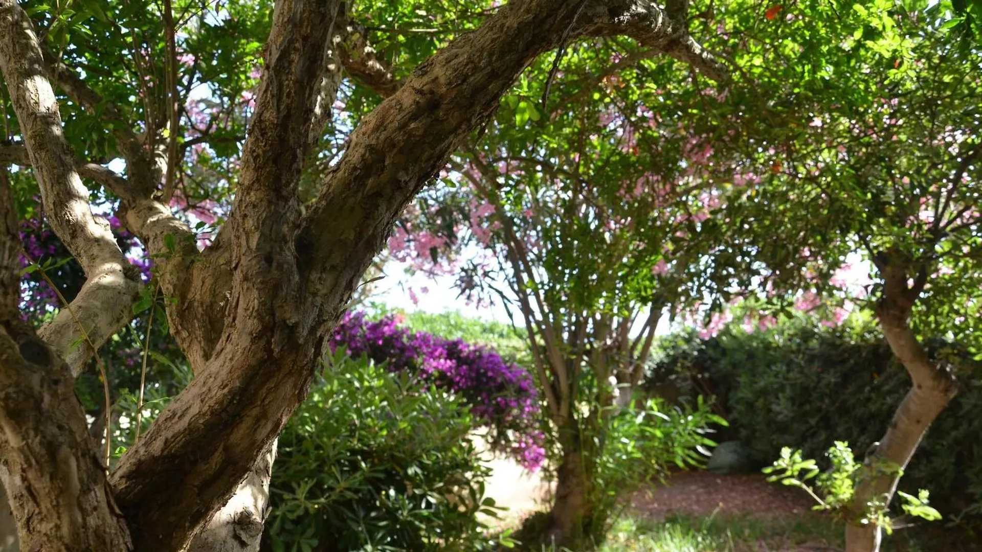 Fantastic Sardinia Villette Con Giardino Fronte Mare Fertilia Faho-Gav01-Gav02 Chalet